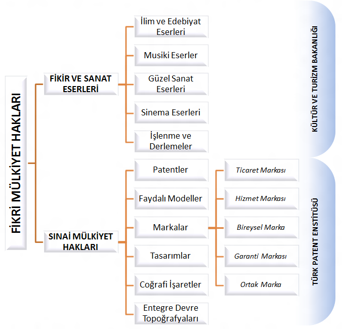 405 Şekil 43 - Türkiye de Fikri Mülkiyet Haklarının Çeşitleri 10.5. BİLİŞİMDE FİKRİ MÜLKİYET HAKLARI Bilgi ve iletişim sektörü, teknolojik boyutuyla ele alındığında sınai mülkiyet haklarından patent korumasına konu olabilecek bir alandır.