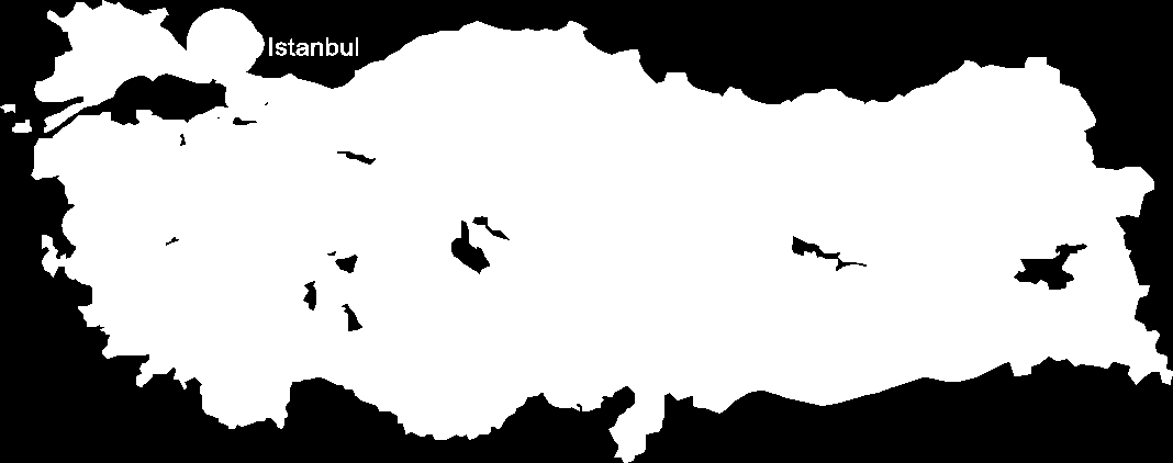 Bölüm 3 Şirket Profili Tarihçe 1986 yılında kurulan KARINCA, her türlü taşıma ve bilgi teknolojisini kullanarak, Türkiye'de ve tüm dünyada müşterilerine taşıma ve lojistik stratejileri oluşturan,