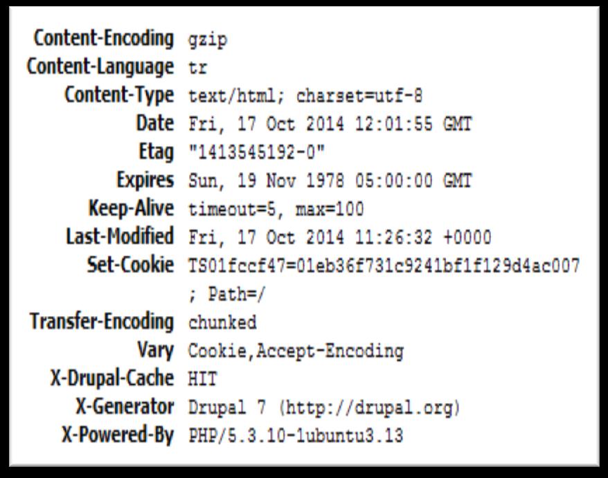HTTP Parmak izi Taraması (HTTP Fingerprinting) HTTP