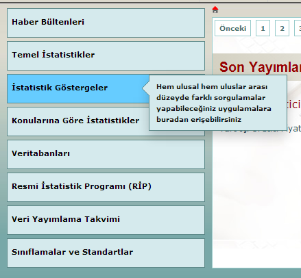 3.3 3.3.11. Açıklama Kullanımı GEZİNİM İlke: Gezinim öğelerine açıklamalar eklenmelidir. Açıklama: Gezinim öğeleri, tıklandıklarında açılacak sayfadaki içeriklere göre isimlendirilmelidir.