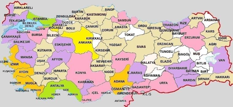 Diğer taraftan, özellikle İstanbul, İzmir, Antalya, Ankara, Muğla gibi illerimizde direkt uluslararası uçuşların olması medikal turizm talebini artırmış olduğu söylenebilir. Grafik 11.