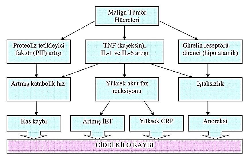 ġekil 1.