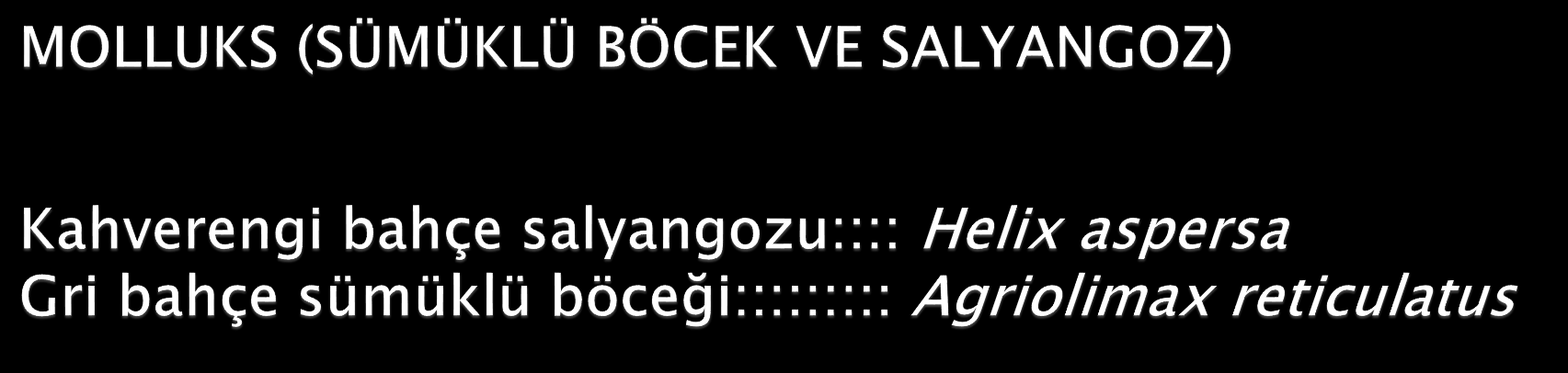 Büyük salgın görülen bahçelerde yapraklar üzerinde bir çok delik görülür.