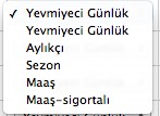 Ancak isçi ismi haricindeki tanımlamalar değiştirilebilir. Budama işçiliği bu bölümde tanıtılmalıdır. Yövmiyeci tanımı Bayan Erkek olarak iki ayrı satır olarak tanımlanabilir.