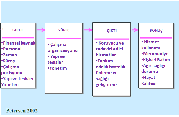 Ağız sağlığı sistemlerinin sistematik değerlendirmesi çok gereklidir ve DSÖ ağız sağlığı programı giriş, süreç, çıktı ve sonuçların ölçülebilir ve kapsamlı olması sayesinde bu tarz çalışmayı savunur.