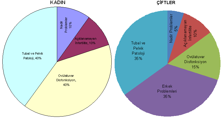 ġekil 1. Ġnfertilite nedenleri 2.1. Yardımla Üreme Teknikleri Yardımla üreme teknolojisi (ART: Assisted Reproductive Technology), overden oositlerin elde edilmesini sağlayan tüm teknikleri içermektedir.