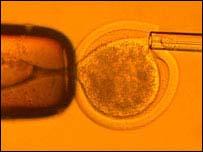 Klonlama Teknikleri KLONLAMA TEKNİKLERİ Rekombinant DNA Teknolojisi yada