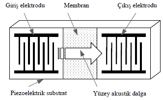 tespitinde, DNA sıralamasında, patojenler ve pestisitlerde yüksek hassasiyet sergilemişlerdir.