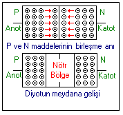 LED Diyot LED e doğru polarma uygulandığında P maddesindeki oyuklarla N maddesindeki elektronlar birleşim yüzeyinde nötrleşir. Bu birleşme anında ortaya çıkan enerji ışık enerjisidir.