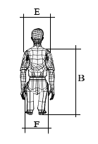 ġekil 1 Alınan antropometrik ölçüler 3. Bulgular 3. 1. Antropometrik Ölçümler Bireylere ait antropometrik ölçüler Tablo 1 de verilmiģtir.