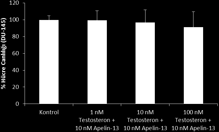 Şekil 6. Testosteron hormonunun 24 saat inkübasyon sonrası, 10 nm apelin-13 uygulamasının DU-145 hücrelerinin canlılığında meydana getirdiği değişiklikler (Ort ± SD; p>0.