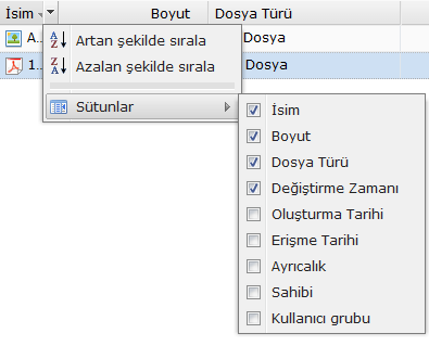 Ek Öznitelikleri Görüntüleyin Ana bölümün yeni sütunlarında göstermek üzere dosya ve klasörlerin ek özniteliklerini görüntüleyebilirsiniz.