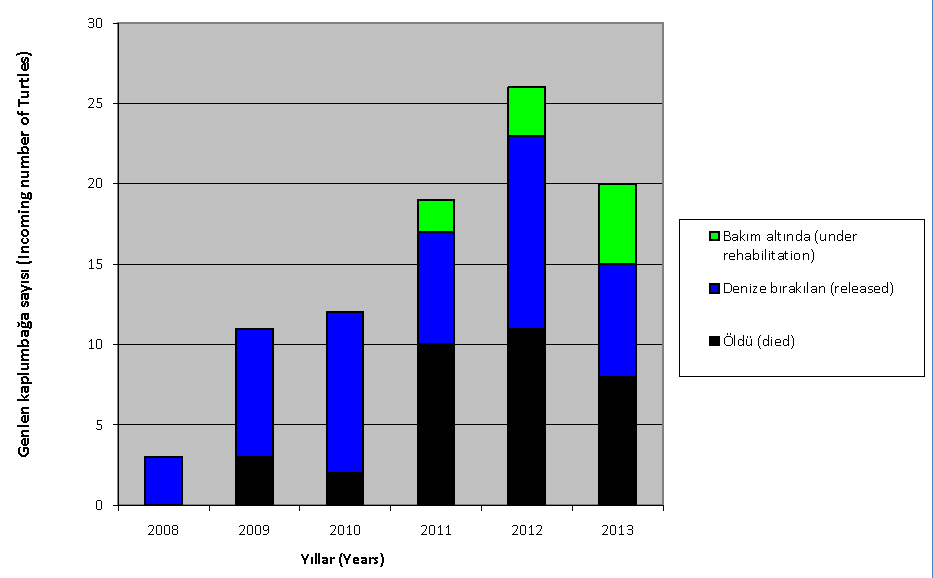 Yıllara göre DEKAMER e Kabul Edilen Yaralı Kaplumbağalarına ait Veriler DEKAMER bakım merkezine 2013 yılı içerisinde Eylül sonuna kadar 21 adet yaralı deniz kaplumbağası gelmiştir.
