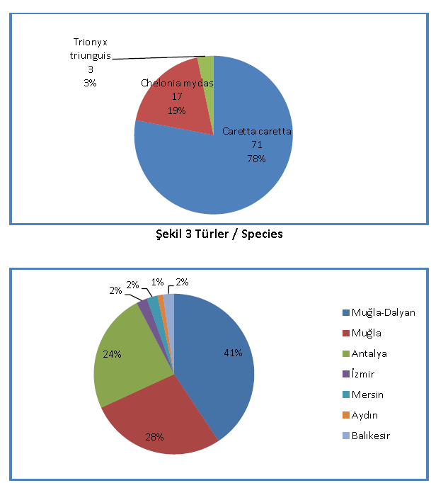 Yaralanma Sebepleri-tür ve bölgelere göre dağılım Diğer %23 Dalma problemi %19