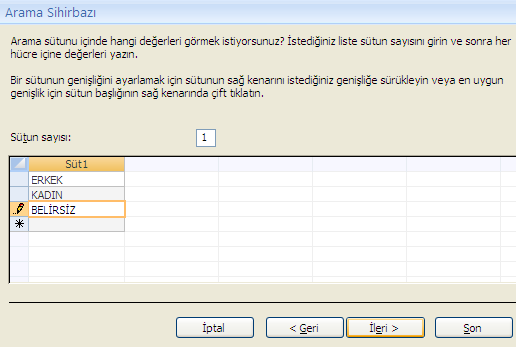 Ġleri düğmesi ile devam edilir. Son aģamada yine etiket kısmı olduğu gibi kalabilir. Son düğmesi ile iģlem tamamlanır.