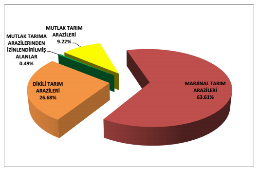 Belirlenen bu arazilerin, orman ile sınır sorunu olan ya da Orman Genel Müdürlüğü tarafından zeytin arazisi olarak üreticilere tahsis edilen arazilerden oluştuğu görülmüştür.