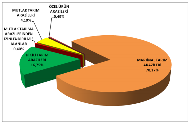 açılmış imarlı bölgeler içerisinde, henüz yapılaşma olmamış ve fiili durumu dikili alan olan 154,20 ha lık bir dikili tarım arazisi ile köy gelişim ve yerleşim alanları içersinde kalan 16,3 ha lık