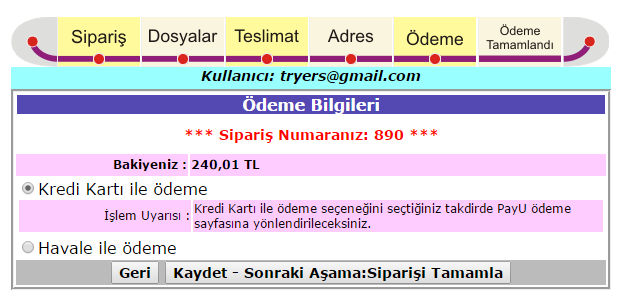 Aşama 4: Ödeme Gönderilecek veya kredi kartı ile ödenecek miktar sayfanın üst kısmındadır. Ödeme iki türlü yapılabilmektedir.