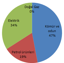 Özel kullanımlara da bağlı olarak hizmet sektöründe elektriğin %34 lük önemli rolü (ıģıklandırma, soğutma ekipmanları, ofis otomasyonu, klima tesisatı) Petrol ürünlerinin önemli yeri (19%) Enerji