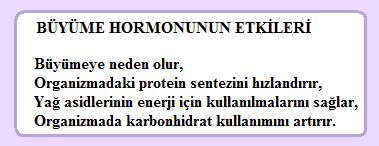 1.1. Diabetes Ġnsiputus Diabetes insiputus, ADH (antidiüretik hormon) eksikliğine bağlı olarak ortaya çıkar.