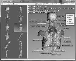 Sanal Gerçeklik Bilgisayar teknolojisindeki karşı konulamaz ilerleme sonucunda gelişen bilgisayar programları sayesinde artık günümüzde bilgisayar temelli cerrahi simülatör uygulamaları