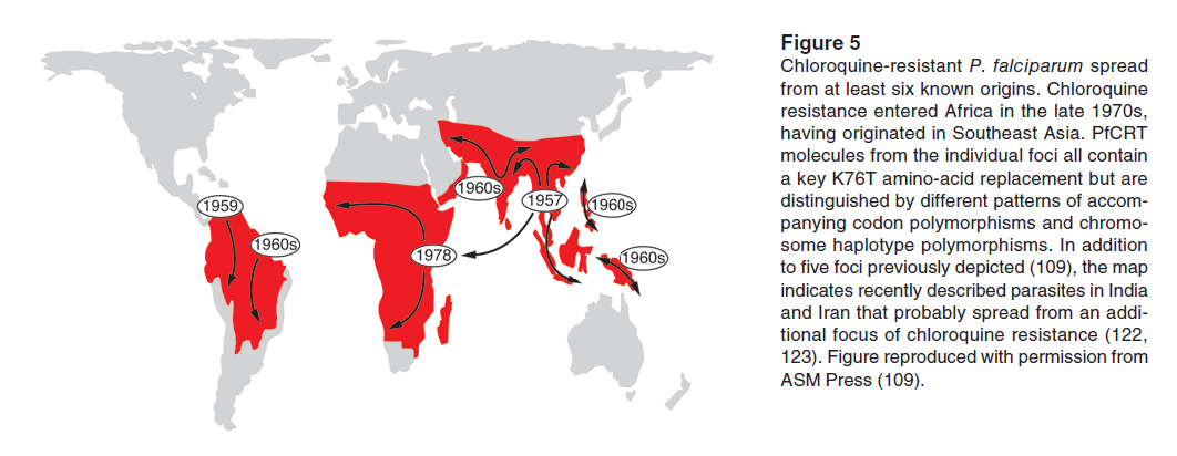 Şekil 1.8 Afrika da görülen sıtmaya bağlı ölüm ( Carter, ve Mendis, 2002; Trape v.d., 1998) Sıtmanın insani yükünün yanında ekonomik yükü de büyüktür; sıtmanın Afrika ülkelerine her yıl 12 milyar Amerikan dolarına mal olduğu düģünülüyor.