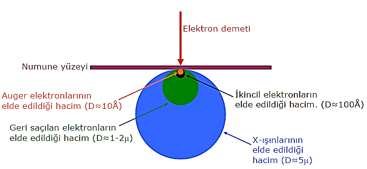 86 Elektronların numune ile çarpısması sonucu ortaya çıkan sonuçlar iki kategoriye ayrılır: o o Elektron sinyalleri Foton sinyalleri Yüksek gerilim altında hızlandırılan elektron demetinin numune