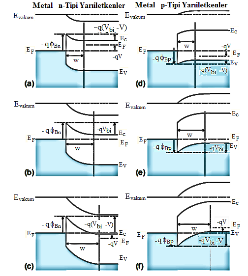 20 Şekil 2.5. n tipi (a,b,c) ve p tipi (d,e,f) yarıiletkenler için M/S eklemlerin band yapıları *Termal dengedeki (b,e), düz beslemdeki (a,d) (V >0), ters beslemdeki (c,f) (V<0) bant durumları 2.4.
