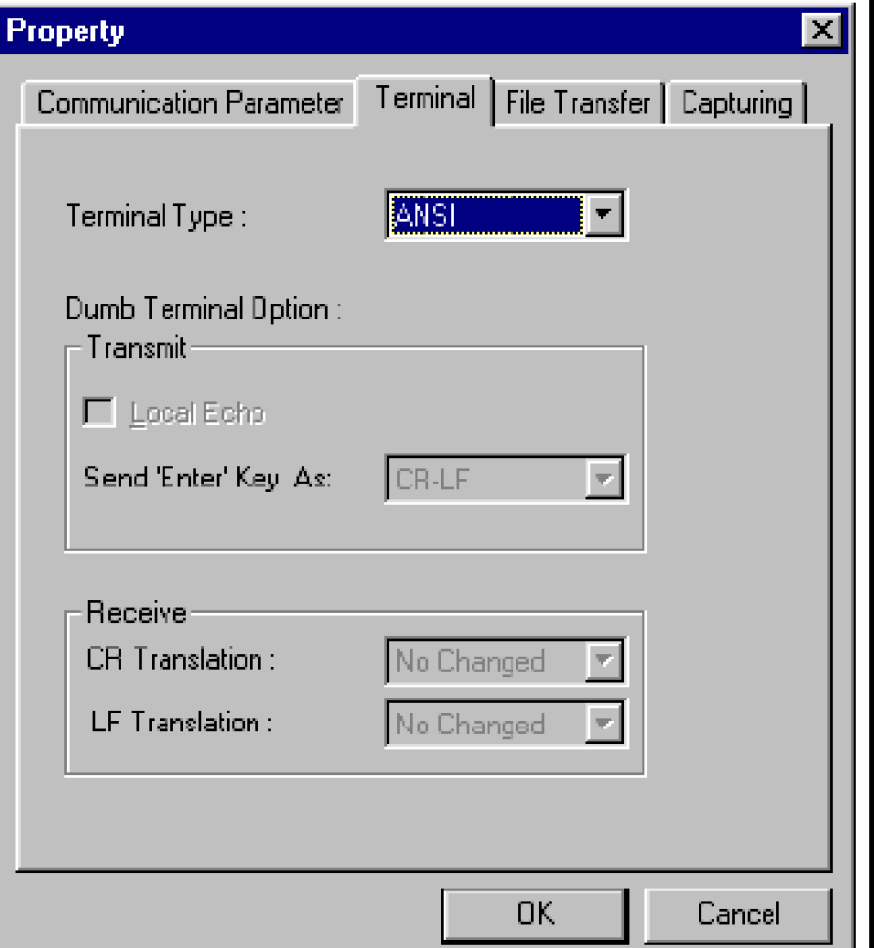 5. Property penceresinden Terminal sayfaında ANSI veya VT100 seçimini Terminal Type için yapınız ve Ok butonuna