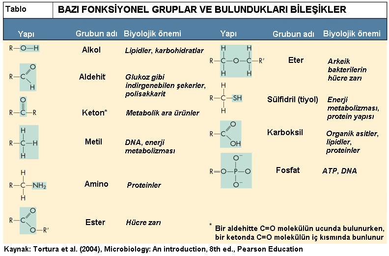 Bölüm 3: BİYOMOLEKÜLLER Kovalent bağlar molekülü oluşturan atomlar arasında elktron paylaşımı ile sağlanan bağlardır.