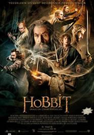 Hobbit üçlemesinin ilk filmi olan Hobbit: Beklenmedik Yolculuk'un devam filmi olan yapım Misty Dağları'ndan başarıyla geçen Thorin ve beraberindekilerin Mirkwood ormanındaki zorlu maceralarına