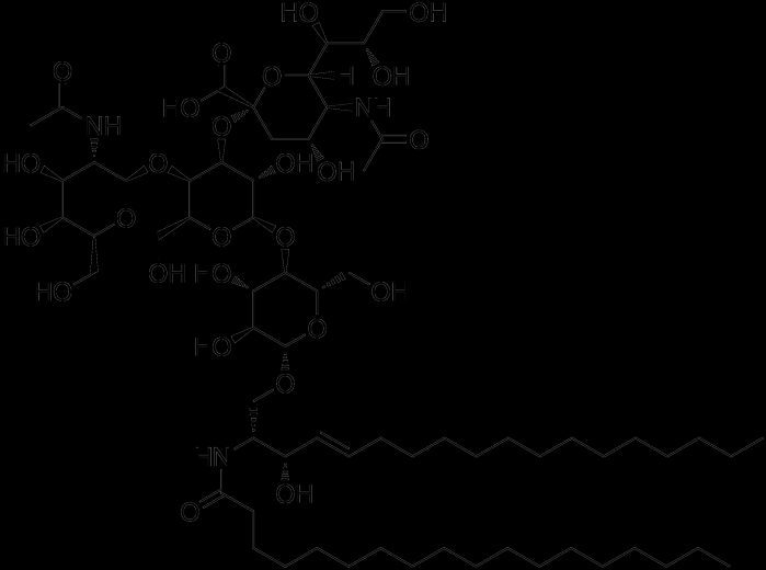 Şekil 1.4.4. Bir gangliozid olan GM1 (monosialotetraheksosilgangliozid) in kimyasal yapısı. Gangliozidlerin oldukça önemli fiziksel ve tıbbi önemleri vardır.