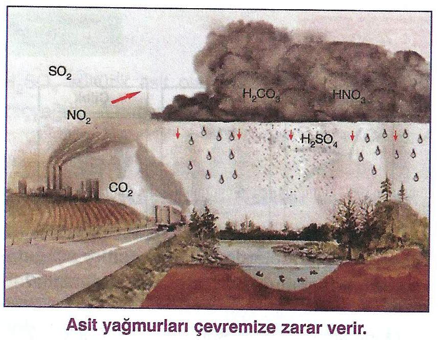 HCl + NaOH -------> NaCl + H2O (Nötrleşme Tepkimesi) (Asit) (Baz) (Tuz) (Su) {Tuzlu Su, ph=7} > Fabrika bacalarına filtre takmalıyız. > Ulaşım araçlarının bakımını düzenli olarak yapmalıyız.