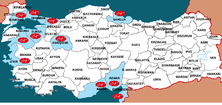 Ceynak Lojistik ve Tic. A.Ş.