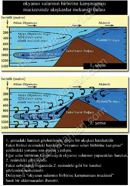 Yüzey akıntısıyla Atlas Okyanusu ndan gelen suyun bir bölümü alt akıntıyla yeniden okyanusa döndüğünden Akdeniz soluk alıp veren deniz olarak da tanımlanmıştır. (Ana Britannica Ansiklopedisi, 1.