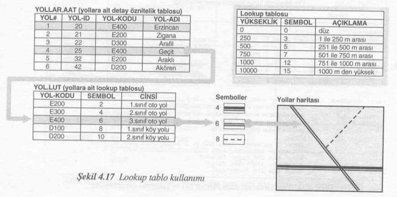 Doğru