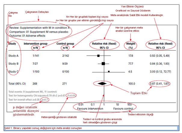 Standart bir Forest Plot