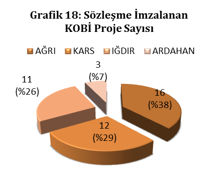 Elde edilen veriler birleştirilerek tüm projeler için yönetim kuruluna sunulmak üzere risk durumlarını da içeren ön izleme raporları oluşturulmuştur.