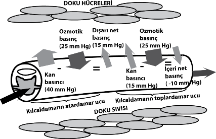 FEN LİSELERİ, SOSYL BİLİMLER LİSELERİ, SPOR LİSELERİ, NDOLU LİSELERİ ÖĞRETMENLERİNİN SEÇME SINVI 81.