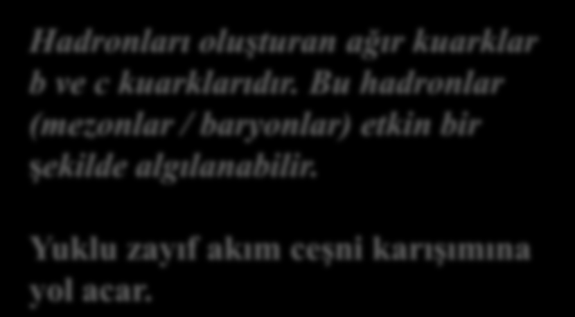 KUARKLAR, LEPTONLAR VE KUVVET TAŞIYICI PARÇACIKLAR Hadronları oluşturan ağır kuarklar b ve c kuarklarıdır.