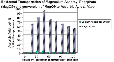 Mag C epidermisi geçer ve uzun bir sürede askorbik aside dönüşür. Bununla beraber fizyolojik ph koşulları altında (örneğin nötr ph) sodyum askorbat epidermisi geçemez.