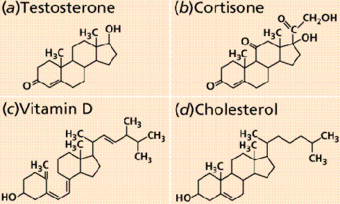 İzopren türevi bileşikler olan karotenoidler