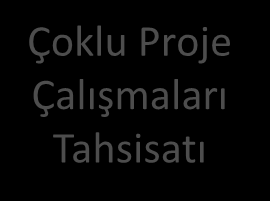 Çoklu