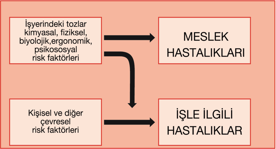 hastalıklar, meslek hastalıklarına göre daha sıktır ve işçiler kadar genel toplumda da görülürler.