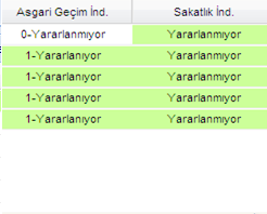 (Maaş Bilgi Ekranı) (11)Aile Bilgi Girişi Personelin