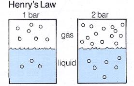 TEMEL PİRENSİP Henry kanunu Eriyen gazın yoğunluğu=(basınç)x(erime katsayısı) Basınç artınca plazmada oksijenin çözünürlüğü artar Plazmada eriyen