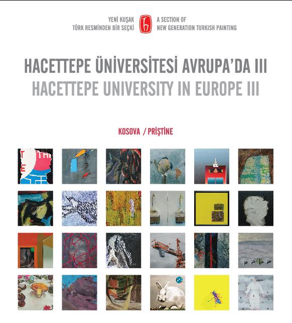 Hacettepe Avrupa da Priştine / Kosova Budapeşte/Macaristan Mart 2013