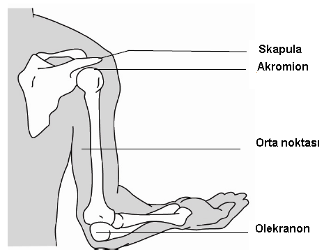 Üst orta