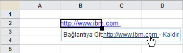 4. URL'yi tıklatın. İlgili görevler: Bağlantıyı köprüden kaldırma Elektronik sayfadaki bir köprüyü, URL'nin metnini kaldırmadan bağlantıdan kaldırabilirsiniz.