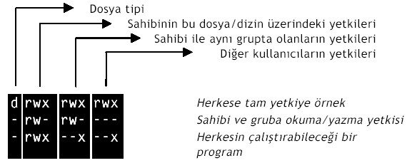 Kullanıcıların hakları bu işlemlerden hangilerini yapmaya yetkili olduklarına göre değişmektedir.